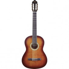 Valencia Vc204Csb Klasik Gitar 